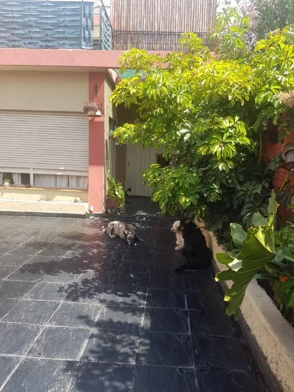 PH en venta - 3 Dormitorios 2 Baños - Cochera - 200Mts2 - Bernal, Quilmes 3