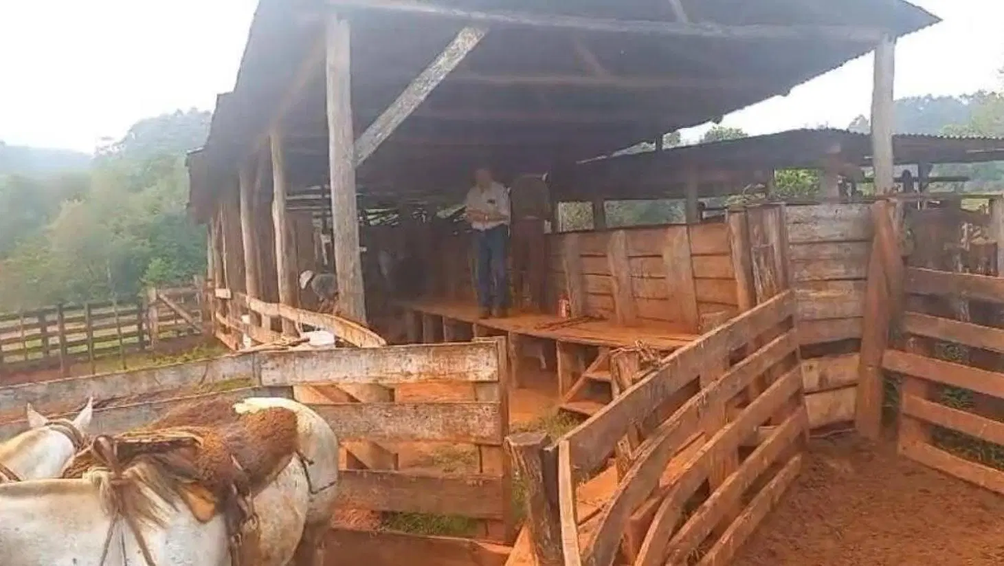 Campo en venta - 2.400 Hectáreas - Misiones 4