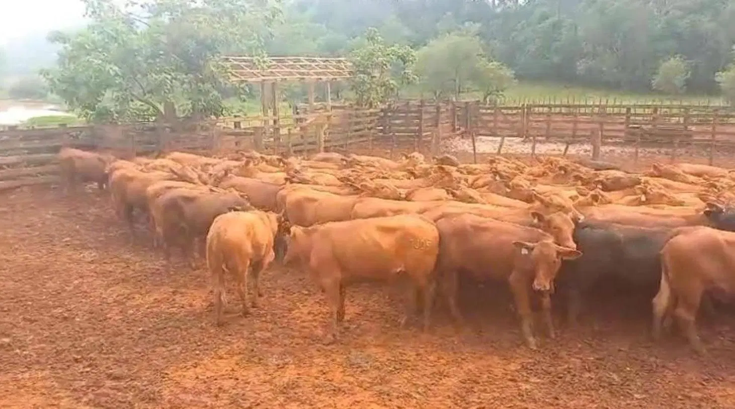 Campo en venta - 2.400 Hectáreas - Misiones 2