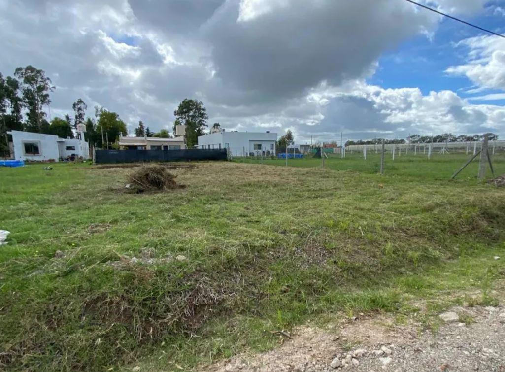 Foto de Terreno en venta - 462mts2 - Villa Elvira, La Plata, imagen 1