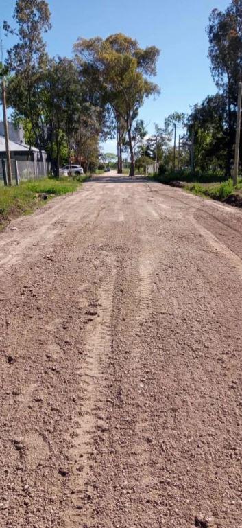 Foto de Terreno en venta - 462mts2 - Villa Elvira, La Plata, imagen 3