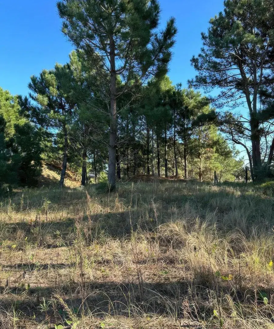 Terreno en venta - 1000mts2 - Barrio Deportiva, Costa Esmeralda 4