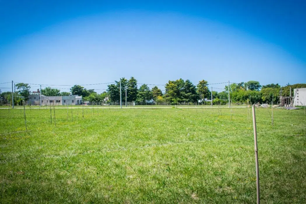 Terreno en venta - 480.6Mts2 - José Hernández, La Plata 8
