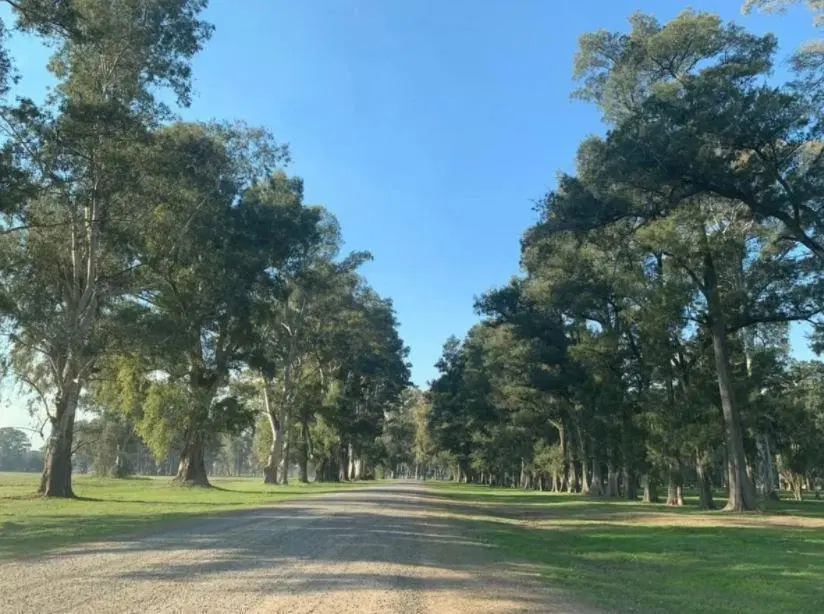 Terreno en venta -1.000mts2 - Los Tres Pinos, General Rodríguez 2