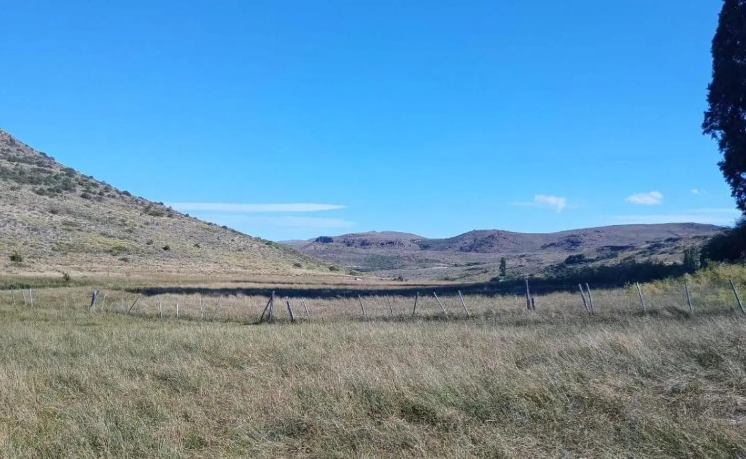 Campo en venta - 4.603 Hectáreas - Pilcaniyeu 4