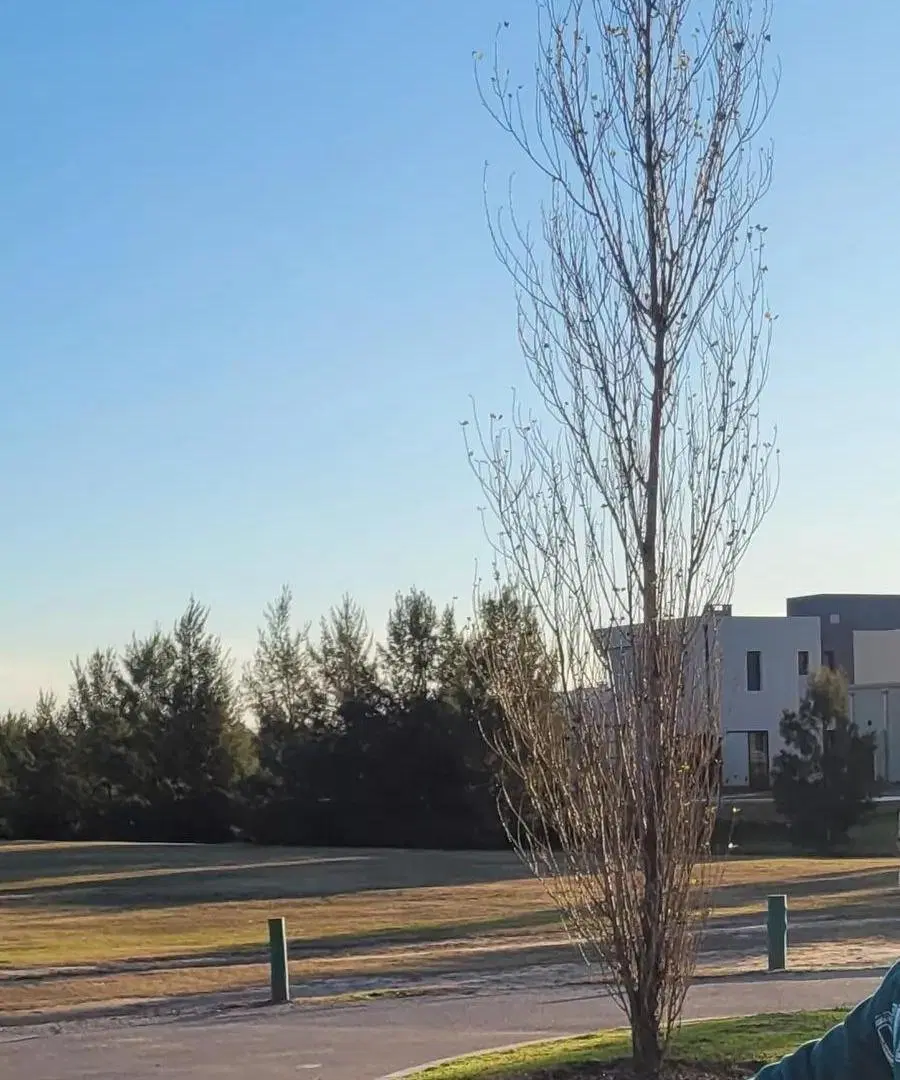 Terreno en venta - 780mts2 - Escobar 4