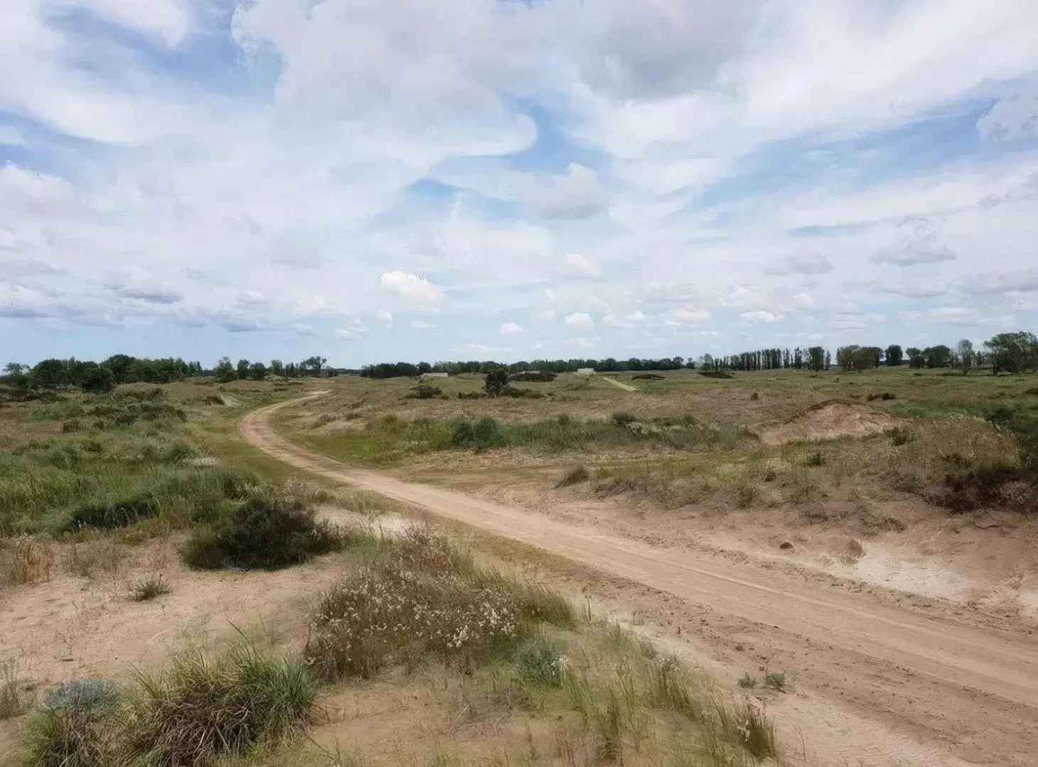 Terreno en venta - 2.600mts2 - Villa Gesell 4