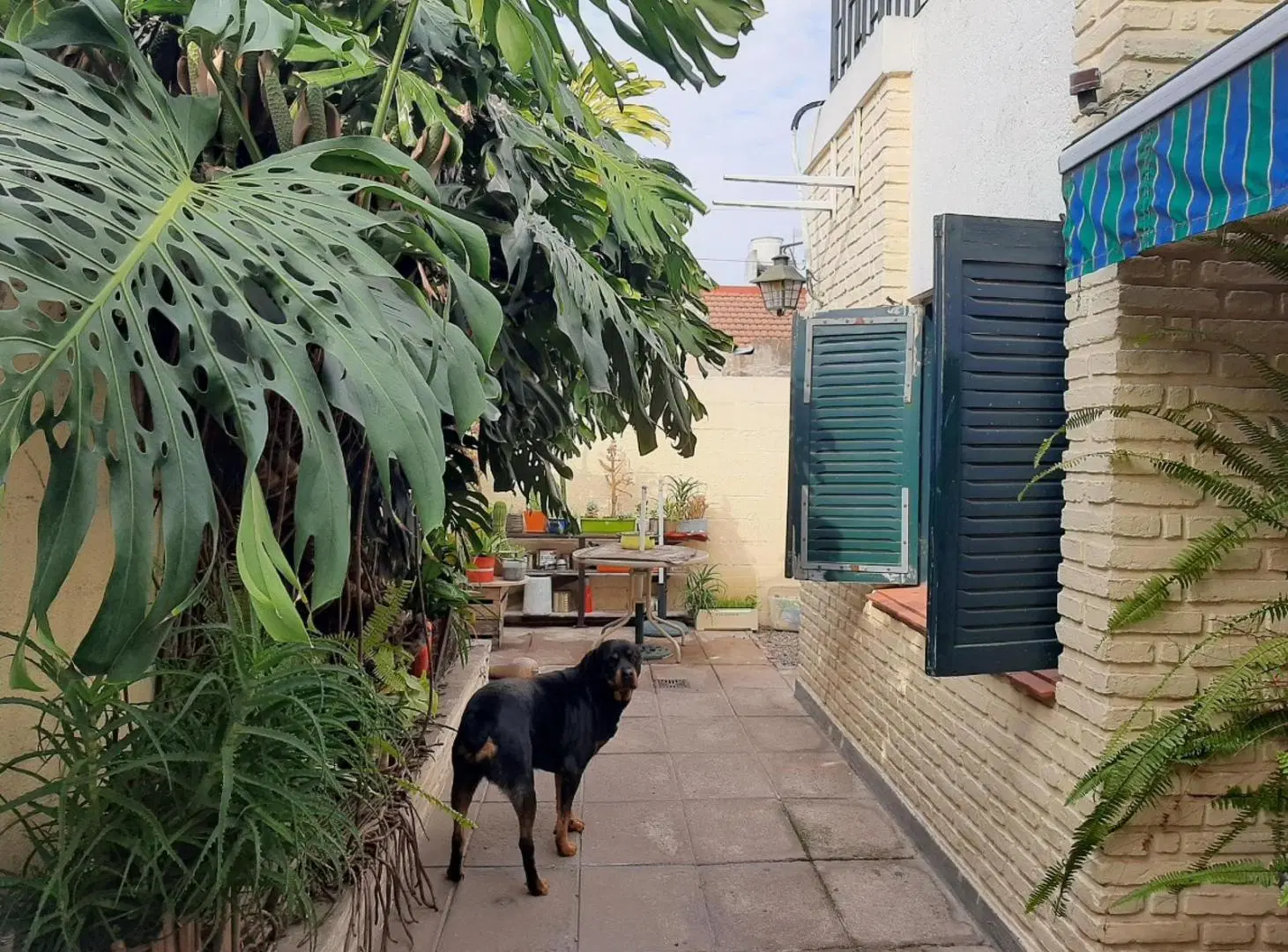 PH en venta - 2 Dormitorios 1 Baño - 130Mts2 - Lanús Este 8