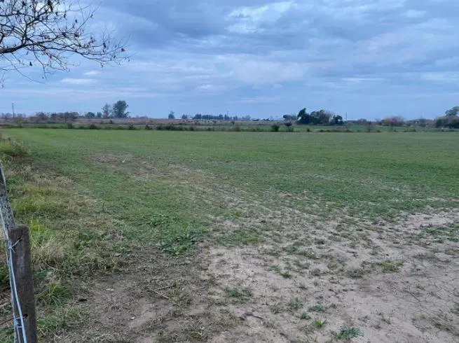 Campo en venta - 5,5 Hectáreas - Pergamino 4