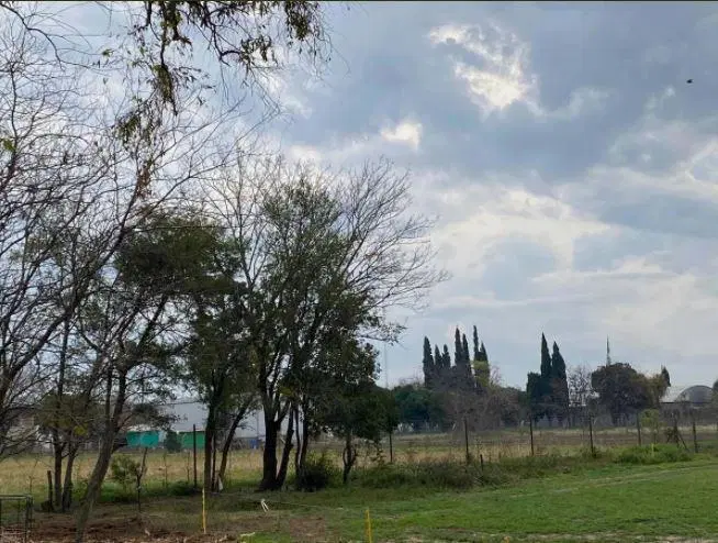 Campo en venta - 5,5 Hectáreas - Pergamino 5