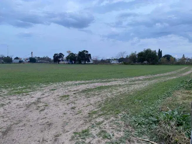 Campo en venta - 5,5 Hectáreas - Pergamino 5