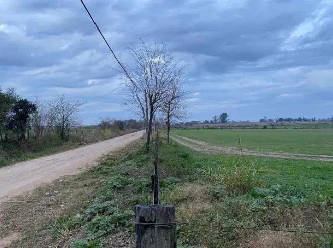 Campo en venta - 5,5 Hectáreas - Pergamino 3
