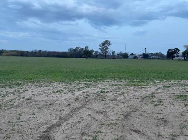 Campo en venta - 5,5 Hectáreas - Pergamino 4