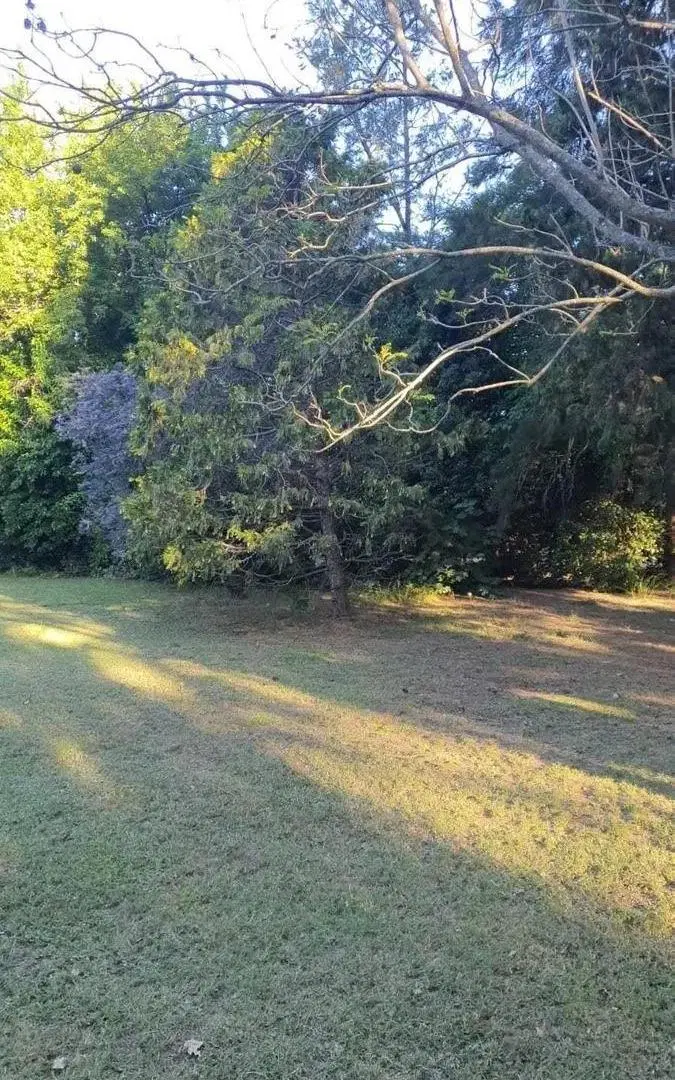 Terreno en venta - 372Mts2 - Berazategui 4