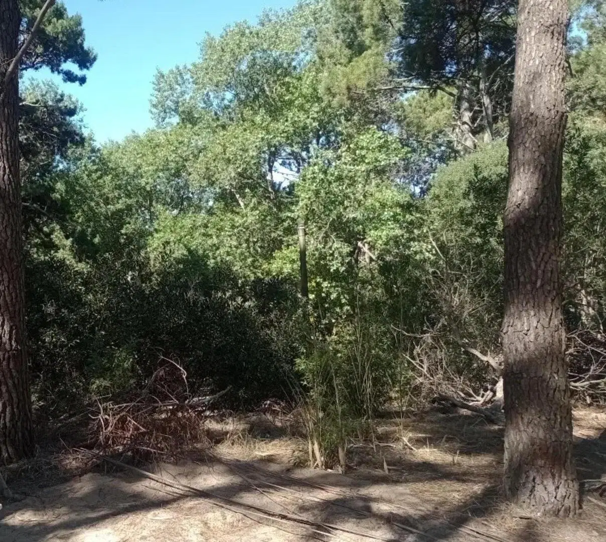 Terreno en venta - 350Mts2 - Mar Azul 4