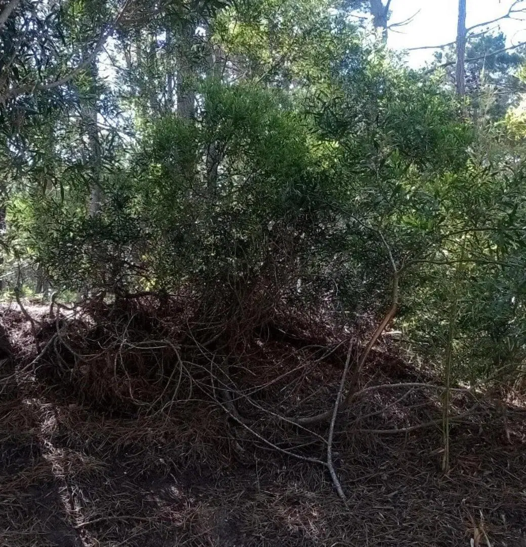 Terreno en venta - 350Mts2 - Mar Azul 5