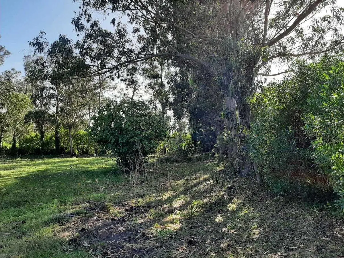 Terreno en venta - 1.875Mts2 - Miramar 4