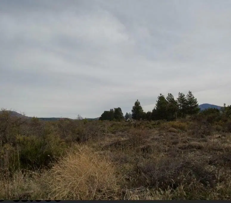 Terreno en venta - 2006Mts2 - San Martín de Los Andes 4