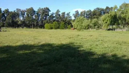 Terreno en venta - 5000mts2 - Abasto, La Plata 3