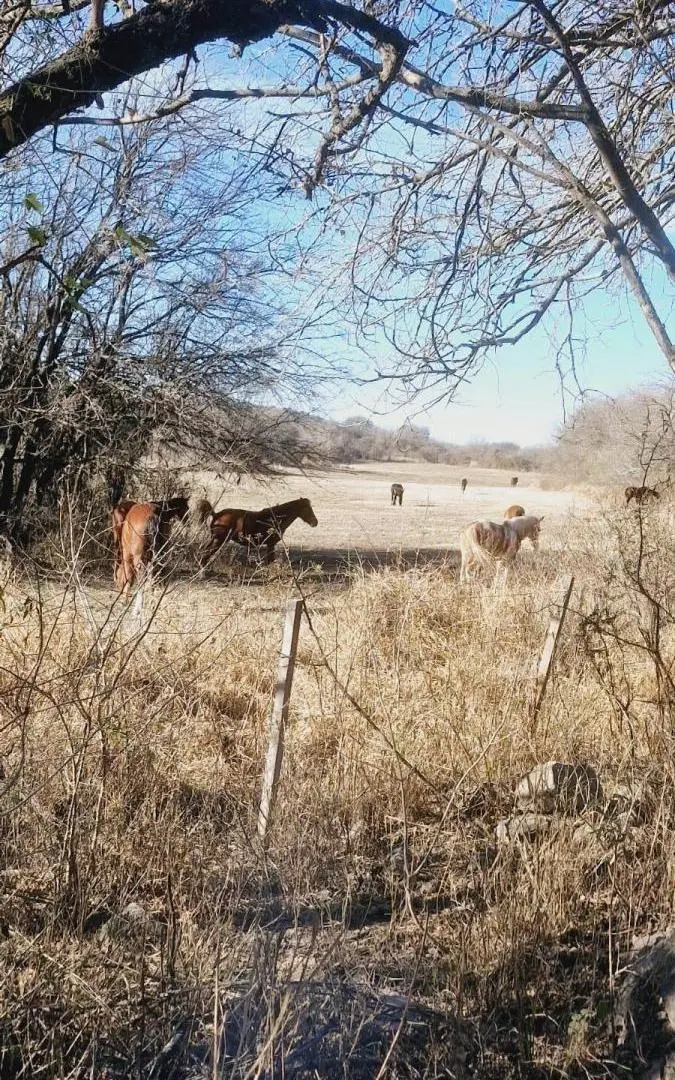 Campo en venta - 8 Hectáreas - Córdoba 3