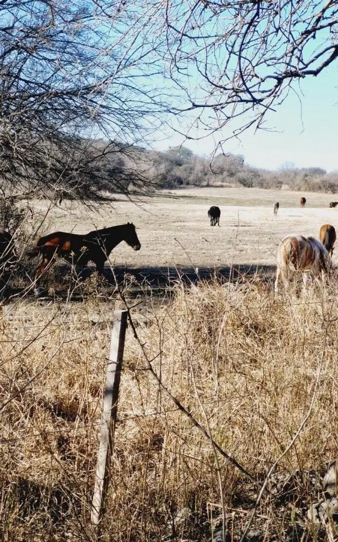 Campo en venta - 8 Hectáreas - Córdoba 4