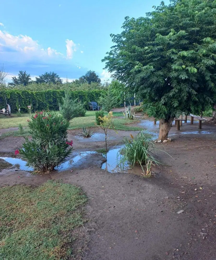 Casa Quinta en venta - 2 Dormitorios 1 Baño - Mendoza 4