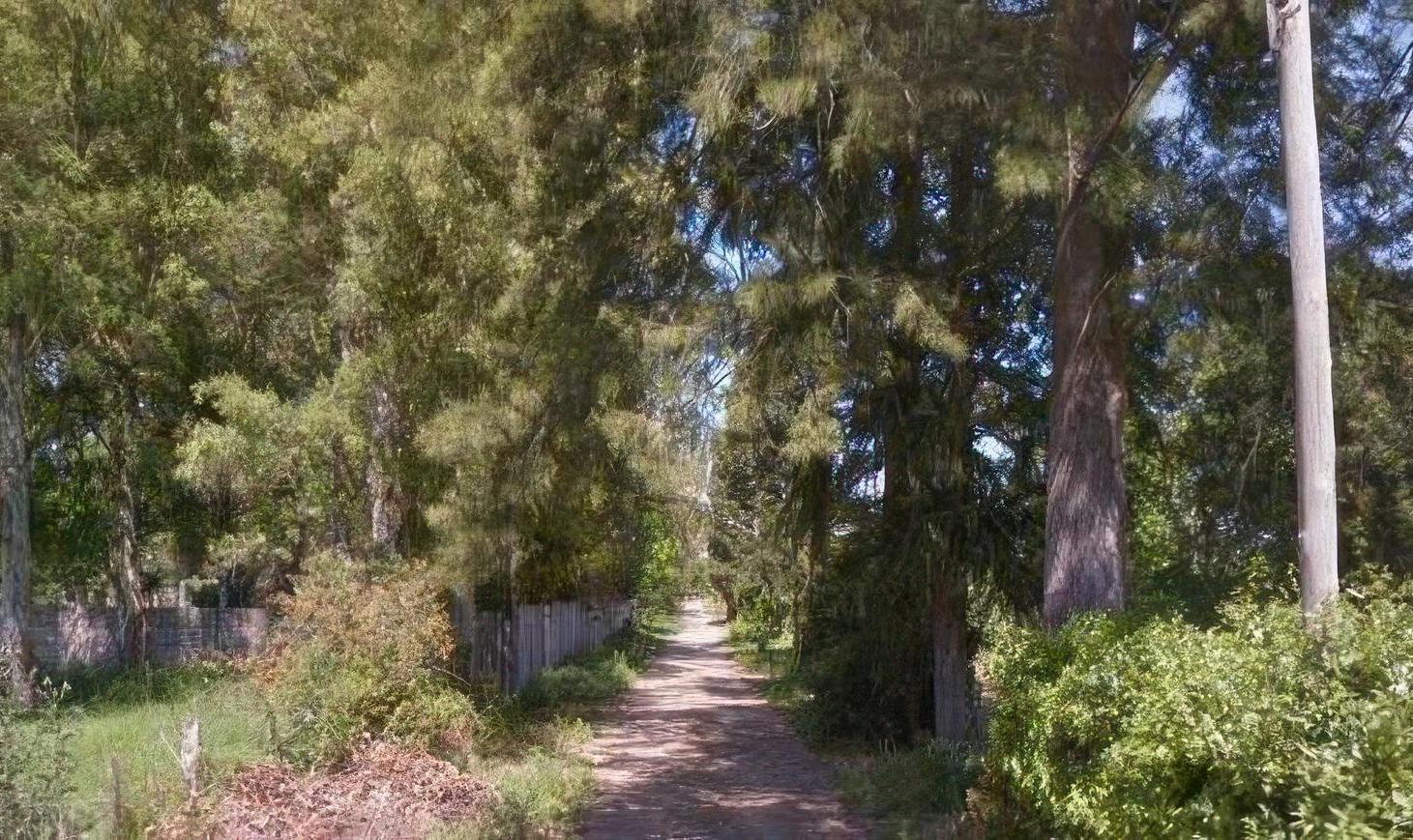 Foto de Terreno en venta - 338 mts2 - Arturo Seguí, imagen 2