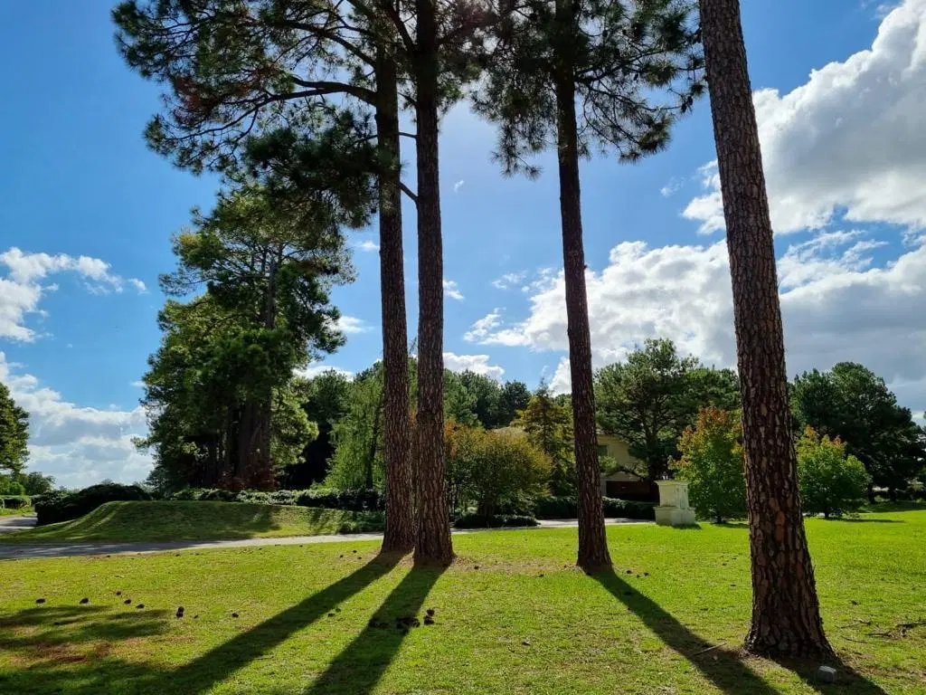 Terreno en venta - 1.878mts2 - Los Pinares Country Club, Exaltación de la Cruz 5