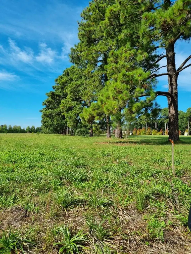 Terreno en venta - 1.878mts2 - Los Pinares Country Club, Exaltación de la Cruz 2