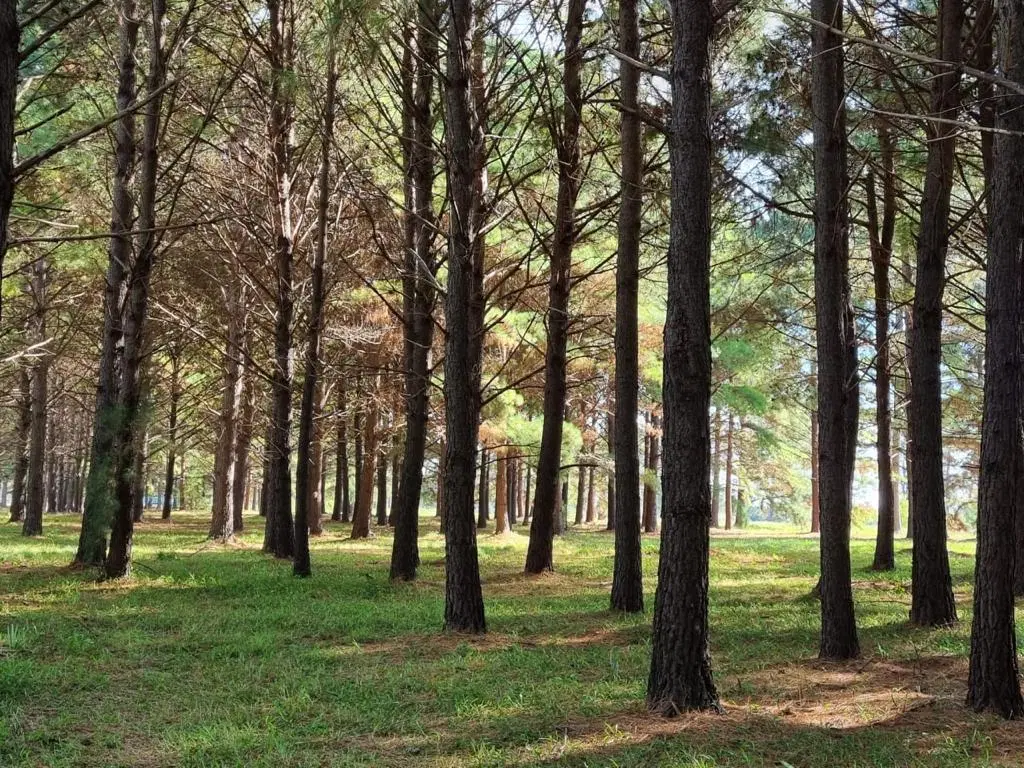 Terreno en venta - 1.500mts2 - Los Pinares Country Club, Exaltación de la Cruz 3