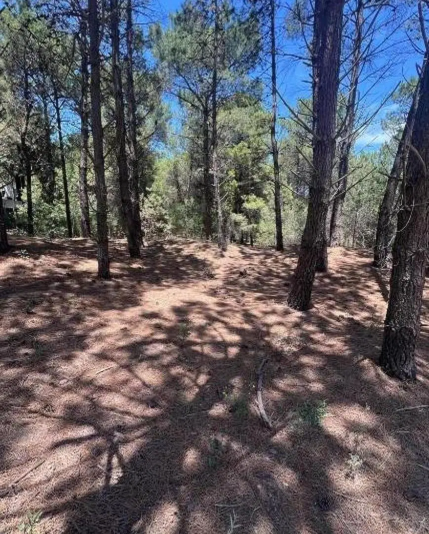 Terreno en venta - 459Mts2 - Monte Hermoso 2