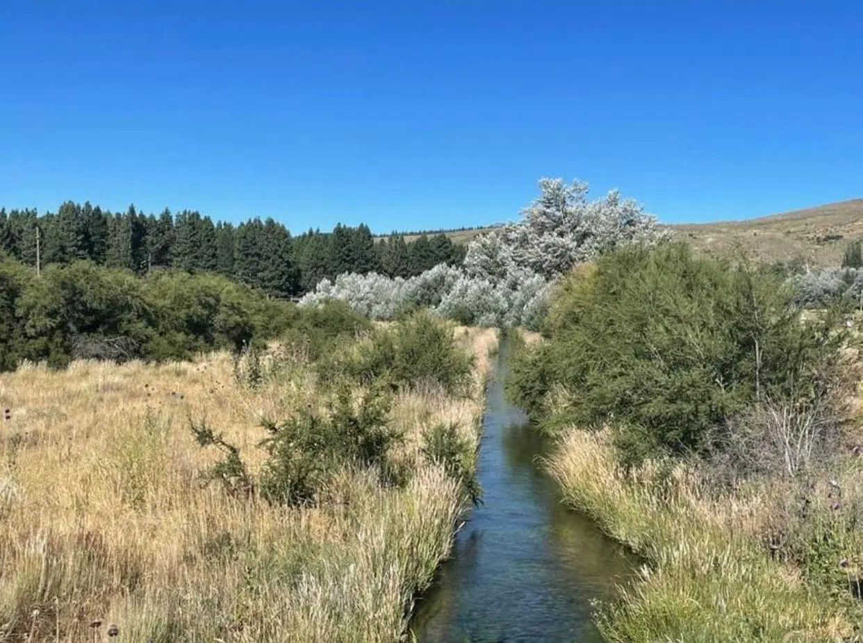 Terreno en venta - 2006Mts2 - San Martín de Los Andes 5