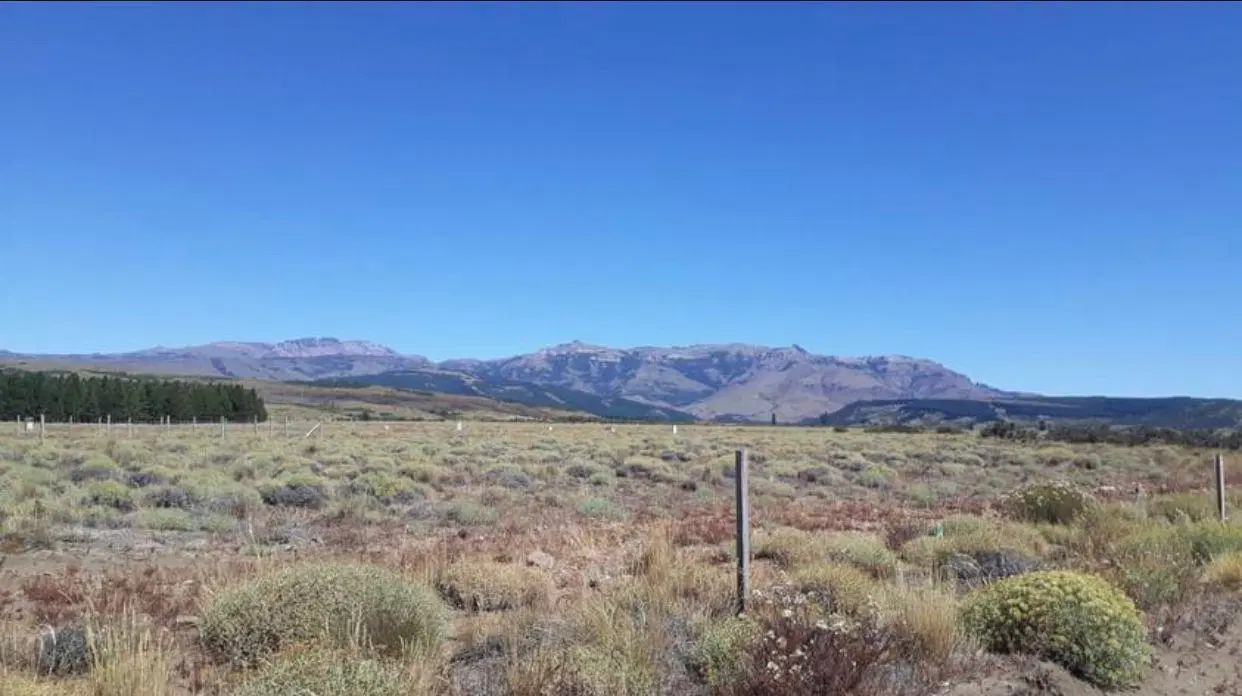 Terreno en venta - 2006Mts2 - San Martín de Los Andes 4