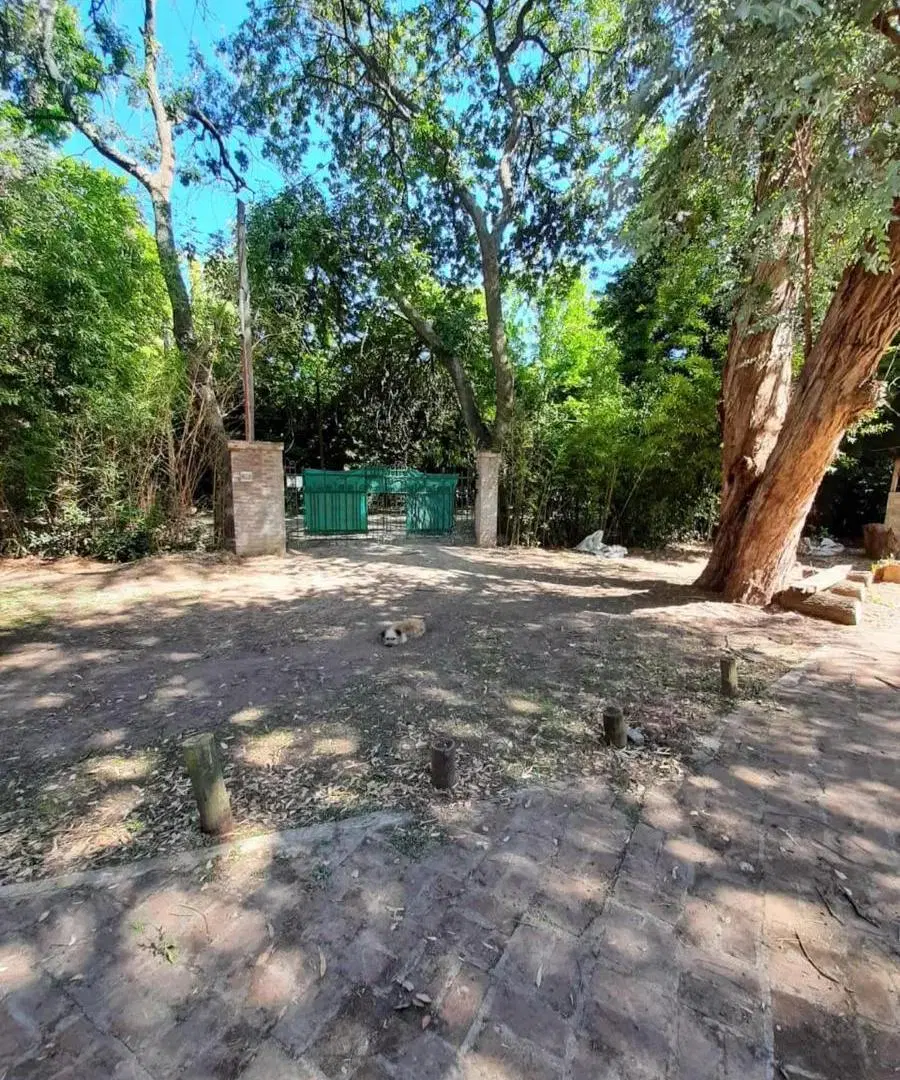 Casa en venta - 3 Dormitorios 2 Baños - 2.300Mts2 - Cañuelas 5