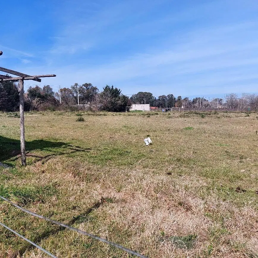 Terreno en venta - 3.641Mts2 - La Matanza 5