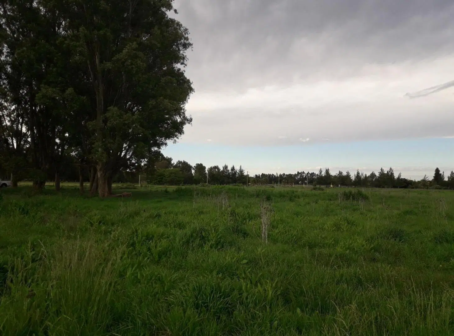 Terreno en venta - 10.575Mtss2 - Berisso 4