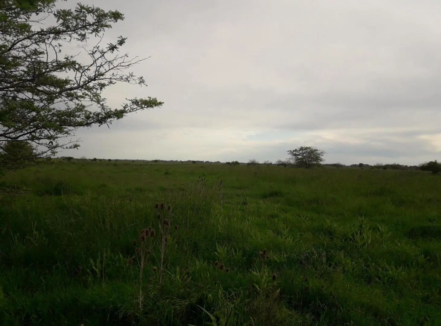 Terreno en venta - 10.575Mtss2 - Berisso 2