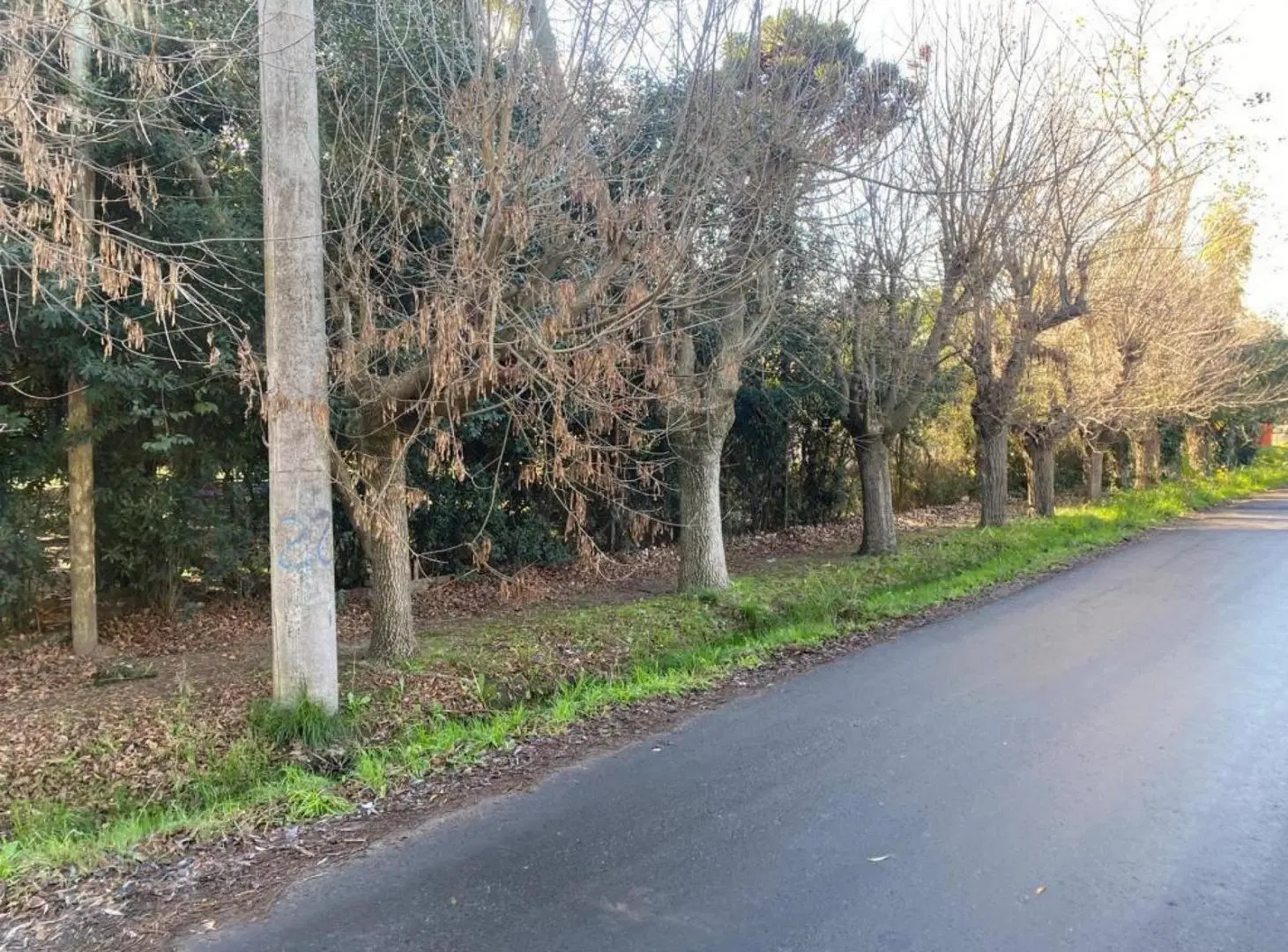 Terreno en venta - 1.000Mts2 - City Bell, La Plata 3