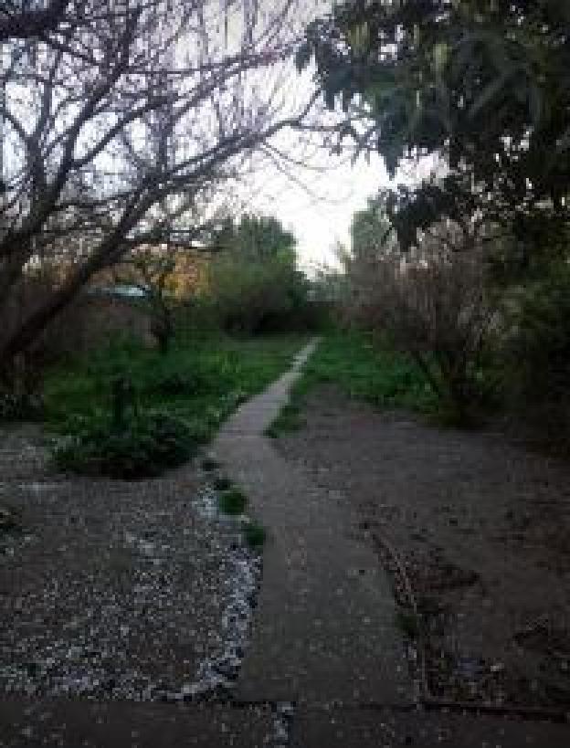Foto de Casa en venta - 2 Dormitorios 2 Baños - 500Mts2 - Tres Arroyos, imagen 2