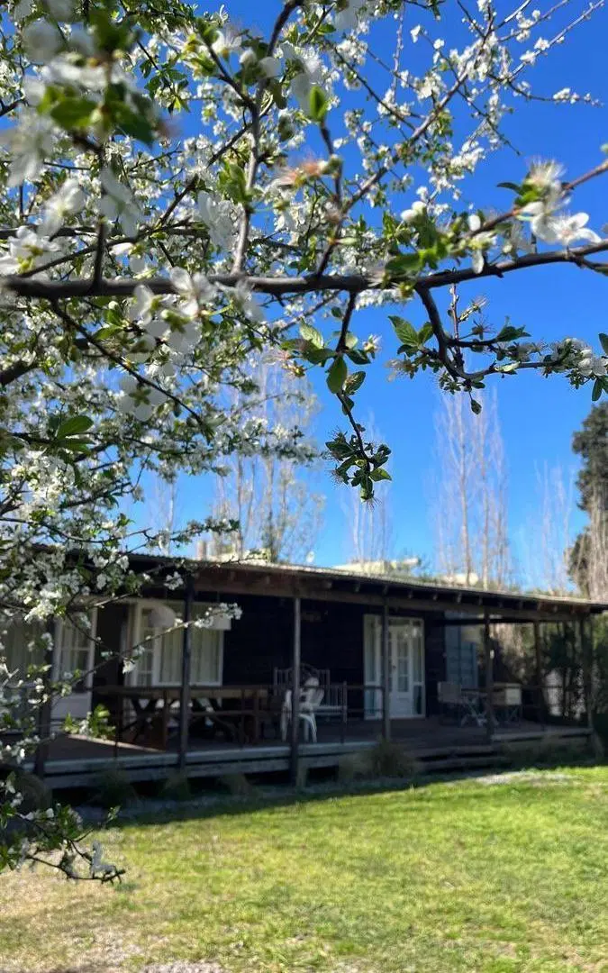 Casa en venta - 2 Dormitorios 1 Baño - Cochera - 1.000Mts2 - Ramallo 1