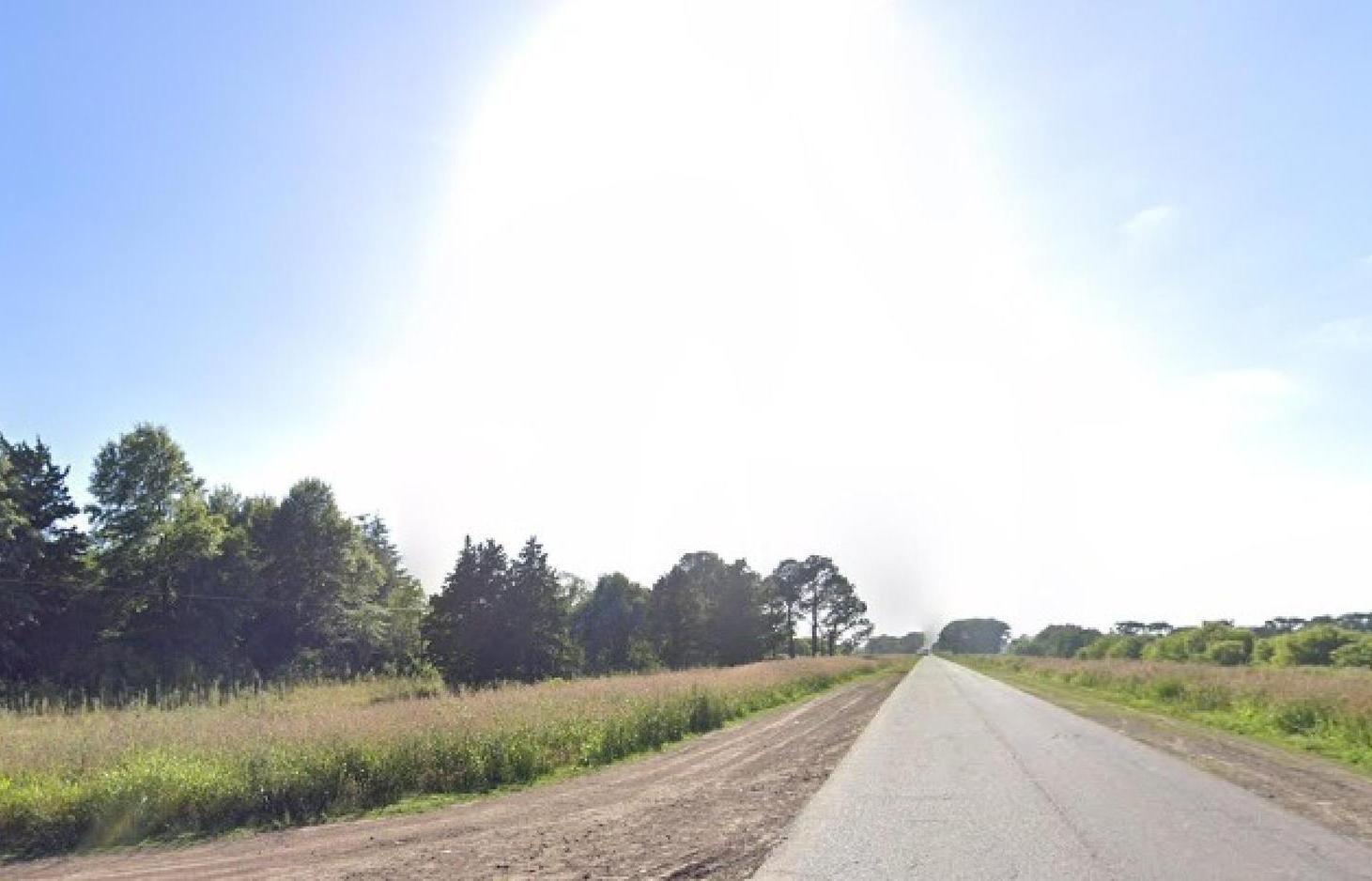 Foto de Campo en venta - 10.100Mts2 - Chivilcoy, imagen 5