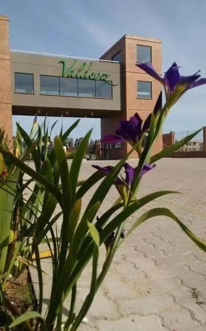 Terreno en venta - 804mts2 - Ezeiza 3