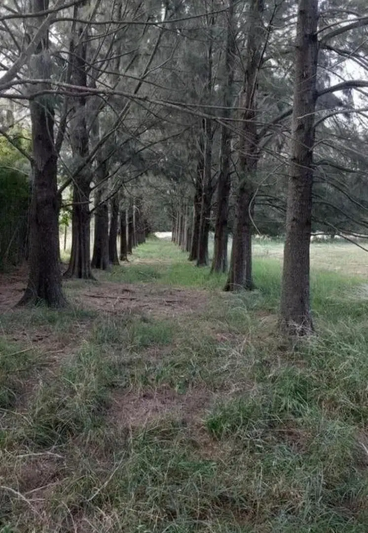 Terreno en venta - 1.006Mts2 - Cañuelas 2