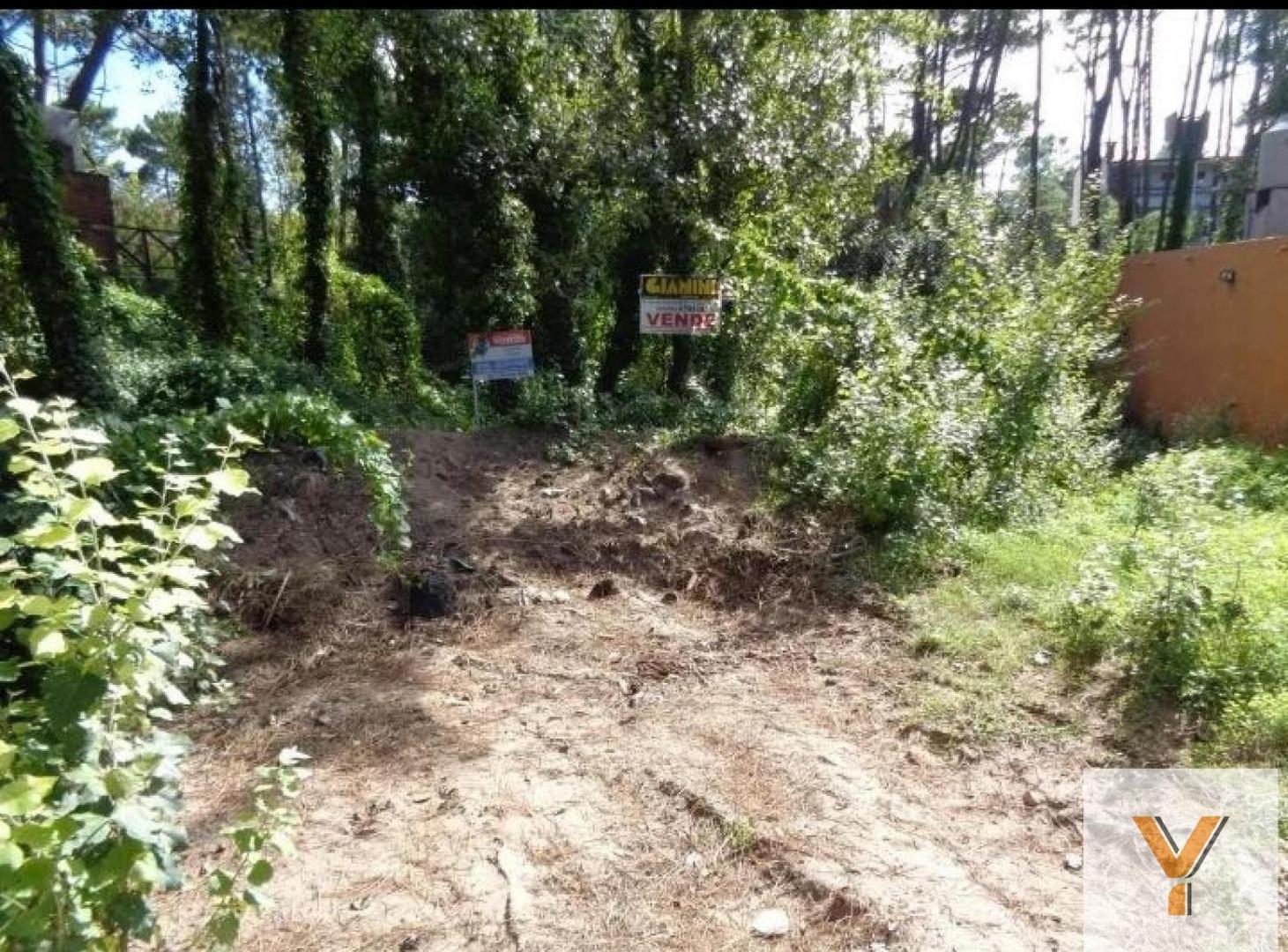 Foto de Terreno en Venta - 450mts - Mar Azul, imagen 2