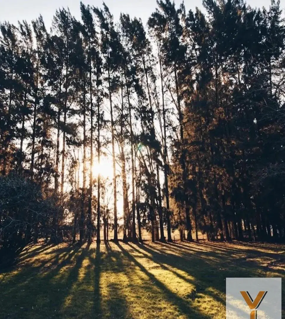Terreno en Venta - - 600mts - Ezeiza 1