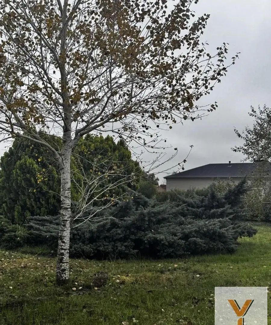 Terreno en Venta - - 2250mts - San Vicente 5