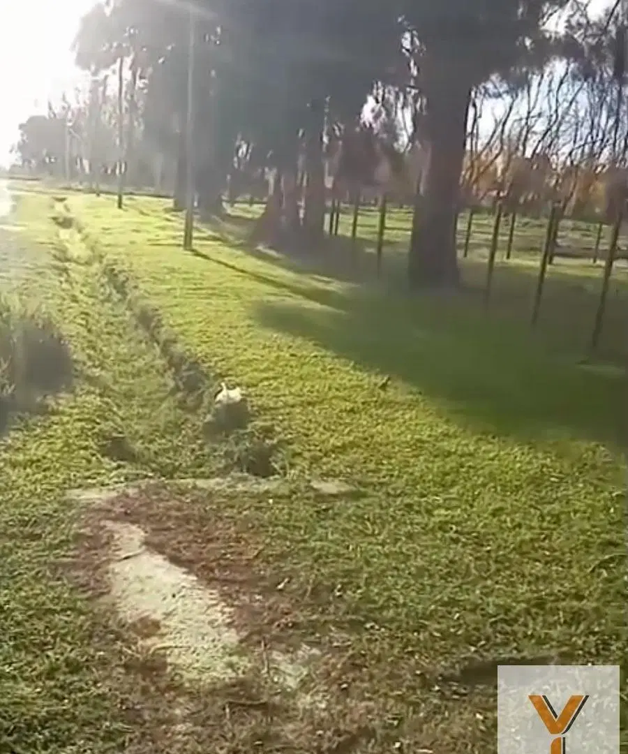 Terreno en venta - 675Mts2 - La Martona, Cañuelas 8