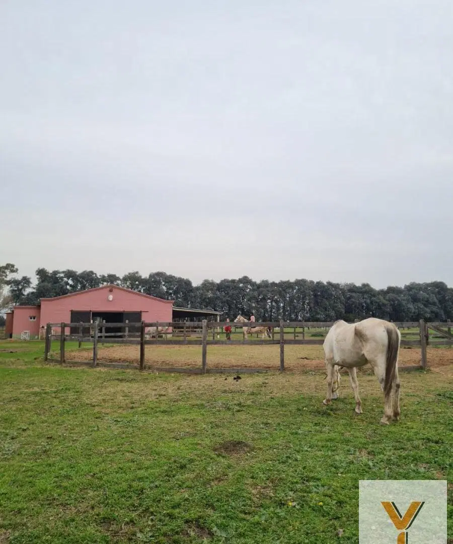 Terreno en venta - 1500Mts2 - Haras San Pablo, General Rodríguez 4