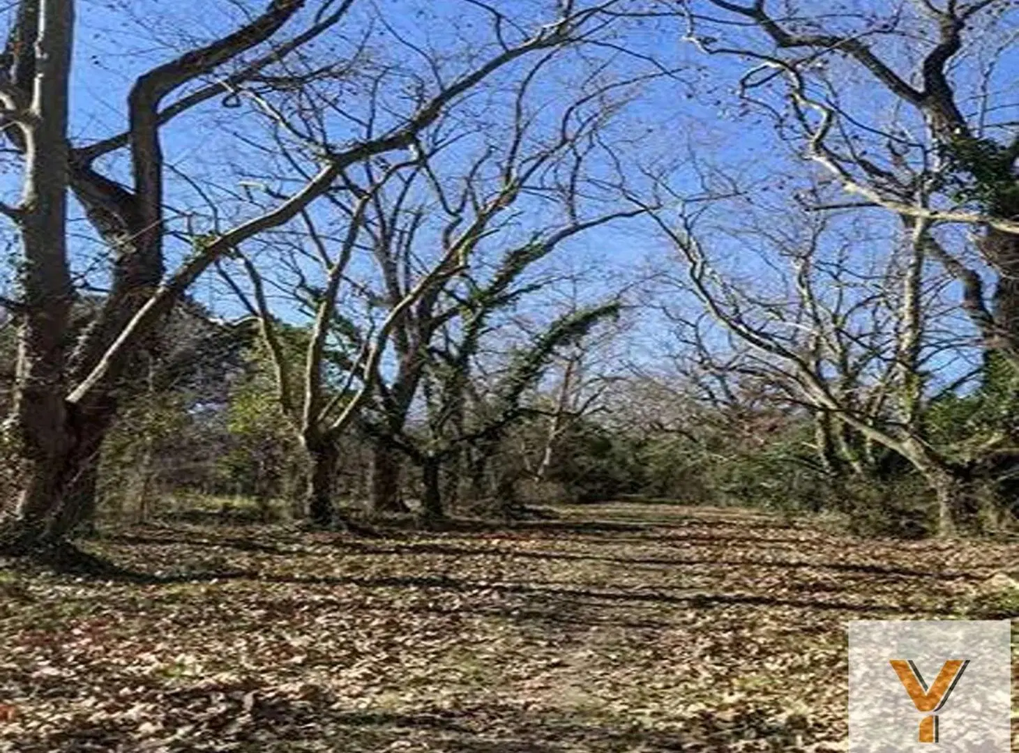 Terreno en venta - 1725Mts2 - Berazategui 4