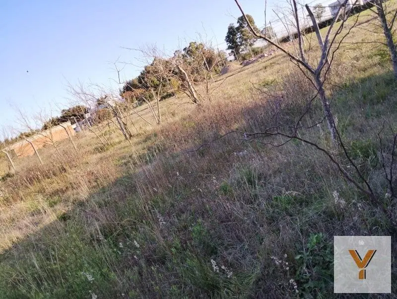 Terreno en venta - 250 mts2 - Chascomus 5